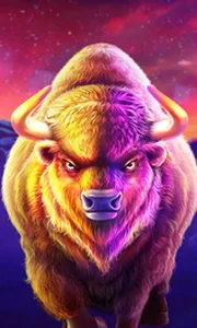 Buffalo King Megaways